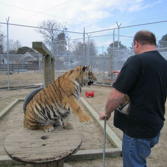 Meet your Posher, Patrick - Picture 1 of 1